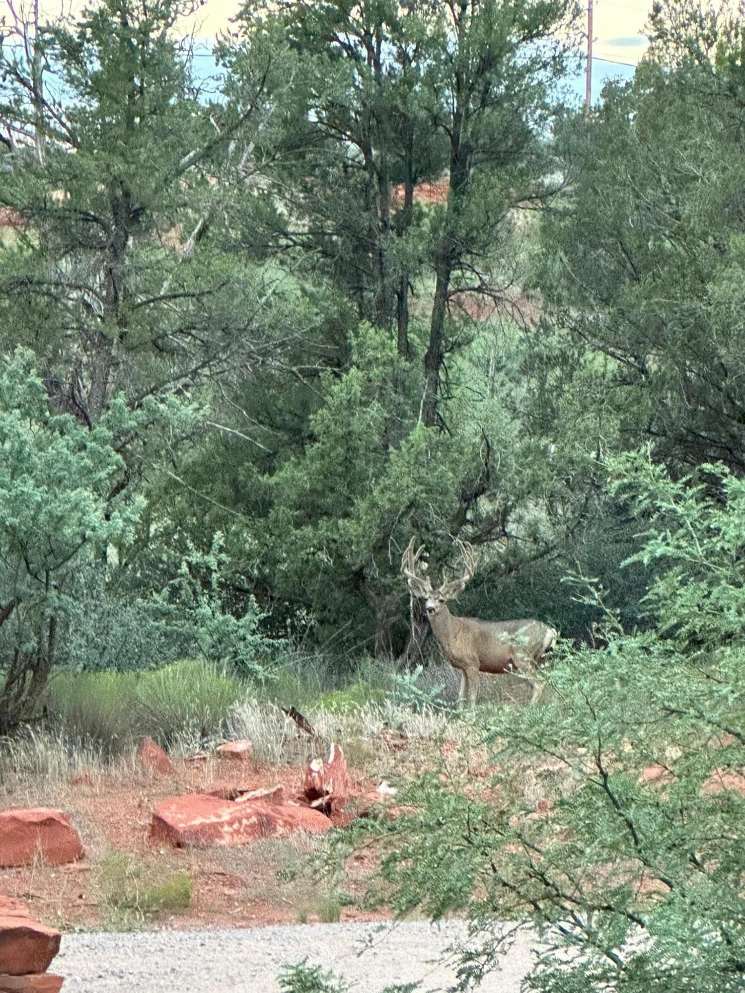 Cathedral Casita At Sedona Cathedral Hideaway Llc Villa Luaran gambar